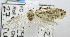  ( - USNM ENT 00792998)  @12 [ ] Unspecified (default): All Rights Reserved  Unspecified Unspecified