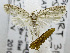  ( - USNM ENT 00795515)  @12 [ ] Unspecified (default): All Rights Reserved  Unspecified Unspecified