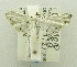  ( - USNM ENT 00798078)  @12 [ ] Unspecified (default): All Rights Reserved  Unspecified Unspecified