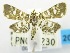  ( - USNM ENT 00798755)  @13 [ ] Unspecified (default): All Rights Reserved  Unspecified Unspecified