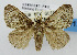  ( - USNM ENT 00798802a)  @11 [ ] Unspecified (default): All Rights Reserved  Unspecified Unspecified