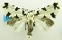  ( - USNM ENT 00798883)  @11 [ ] Unspecified (default): All Rights Reserved  Unspecified Unspecified