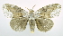  ( - USNM ENT 00800677)  @11 [ ] Unspecified (default): All Rights Reserved  Unspecified Unspecified