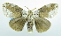  ( - USNM ENT 00800678)  @12 [ ] Unspecified (default): All Rights Reserved  Unspecified Unspecified