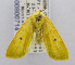 ( - USNM ENT 00800714)  @13 [ ] Unspecified (default): All Rights Reserved  Unspecified Unspecified