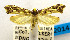  ( - USNM ENT 00800802)  @11 [ ] Unspecified (default): All Rights Reserved  Unspecified Unspecified