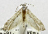  ( - USNM ENT 00800893)  @11 [ ] Unspecified (default): All Rights Reserved  Unspecified Unspecified