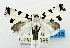  ( - USNM ENT 00800970)  @12 [ ] Unspecified (default): All Rights Reserved  Unspecified Unspecified