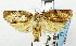  ( - USNM ENT 00800988)  @13 [ ] Unspecified (default): All Rights Reserved  Unspecified Unspecified