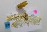  ( - USNM ENT 00808210)  @12 [ ] Unspecified (default): All Rights Reserved  Unspecified Unspecified