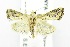  ( - USNM ENT 00808510)  @13 [ ] Unspecified (default): All Rights Reserved  Unspecified Unspecified