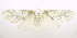  ( - USNM ENT 00808720)  @13 [ ] Unspecified (default): All Rights Reserved  Unspecified Unspecified
