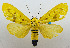  ( - USNM ENT 00980875)  @13 [ ] Unspecified (default): All Rights Reserved  Unspecified Unspecified
