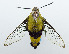  ( - USNM ENT 00980925)  @13 [ ] Unspecified (default): All Rights Reserved  Unspecified Unspecified