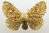  ( - USNM ENT 00980928)  @14 [ ] Unspecified (default): All Rights Reserved  Unspecified Unspecified
