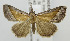  ( - USNM ENT 00980977)  @14 [ ] Unspecified (default): All Rights Reserved  Unspecified Unspecified
