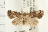  ( - USNM ENT 00192023)  @14 [ ] CreativeCommons - Attribution (2009) Unspecified Centre for Biodiversity Genomics