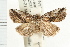  ( - USNM ENT 00193763)  @14 [ ] CreativeCommons - Attribution (2009) Unspecified Centre for Biodiversity Genomics