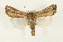  ( - USNM ENT 00678892)  @13 [ ] CreativeCommons - Attribution (2009) Unspecified Centre for Biodiversity Genomics