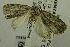  ( - USNM ENT 00719251)  @12 [ ] Unspecified (default): All Rights Reserved  Unspecified Unspecified