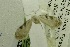  ( - USNM ENT 00719266)  @12 [ ] Unspecified (default): All Rights Reserved  Unspecified Unspecified