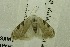  ( - USNM ENT 00719267)  @13 [ ] Unspecified (default): All Rights Reserved  Unspecified Unspecified