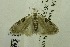  ( - USNM ENT 00719268)  @13 [ ] Unspecified (default): All Rights Reserved  Unspecified Unspecified