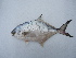  ( - PeMar_F0410)  @11 [ ] Unspecified (default): All Rights Reserved  Copyright © Unspecified