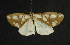  ( - HAPL1.00)  @13 [ ] CreativeCommons - Attribution (2010) Unspecified Centre for Biodiversity Genomics