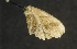  ( - moth695.01)  @12 [ ] CreativeCommons - Attribution (2010) Unspecified Centre for Biodiversity Genomics