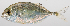  ( - M001-067)  @11 [ ] Copyright (2013) D. Ponton IRD