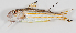  ( - M003-009)  @11 [ ] Copyright (2013) D. Ponton IRD