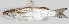  ( - M003-013)  @11 [ ] Copyright (2013) D. Ponton IRD
