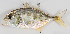  ( - M003-077)  @11 [ ] Copyright (2013) D. Ponton IRD
