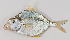  ( - M012-001)  @11 [ ] Copyright (2013) D. Ponton IRD