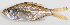  ( - M012-057)  @11 [ ] Copyright (2013) D. Ponton IRD