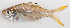  ( - M012-059)  @11 [ ] Copyright (2013) D. Ponton IRD