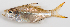  ( - M012-060)  @11 [ ] Copyright (2013) D. Ponton IRD