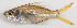 ( - M012-061)  @11 [ ] Copyright (2013) D. Ponton IRD