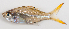  ( - M012-062)  @11 [ ] Copyright (2013) D. Ponton IRD