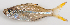  ( - M012-063)  @11 [ ] Copyright (2013) D. Ponton IRD