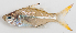  ( - M012-064)  @11 [ ] Copyright (2013) D. Ponton IRD
