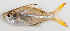  ( - M012-065)  @11 [ ] Copyright (2013) D. Ponton IRD