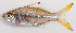  ( - M012-066)  @11 [ ] Copyright (2013) D. Ponton IRD