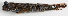  ( - M013-007)  @11 [ ] Copyright (2013) D. Ponton IRD