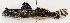 ( - M018-018)  @11 [ ] Copyright (2013) D. Ponton IRD