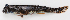  ( - M018-019)  @11 [ ] Copyright (2013) D. Ponton IRD