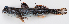  ( - M018-021)  @11 [ ] Copyright (2013) D. Ponton IRD