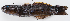  ( - M018-025)  @11 [ ] Copyright (2013) D. Ponton IRD