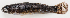  ( - M018-030)  @11 [ ] Copyright (2013) D. Ponton IRD